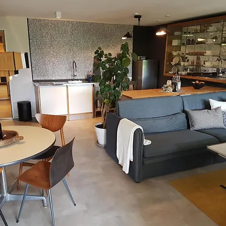 Appartement Exklusiver Souterrain - Zentral, Ruhig Mit Grosser Terrasse, Bergblick Und Privaten Sauna Zzgl Immenstadt im Allgäu